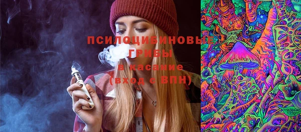 прущая мука Гусев