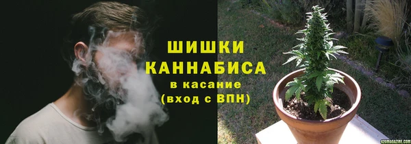 мдпв Гусь-Хрустальный