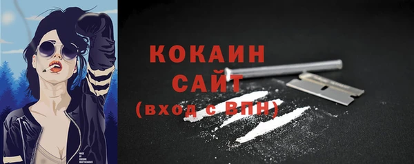 мдпв Гусь-Хрустальный