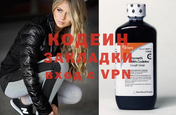 мдпв Гусь-Хрустальный