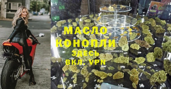 мдпв Гусь-Хрустальный