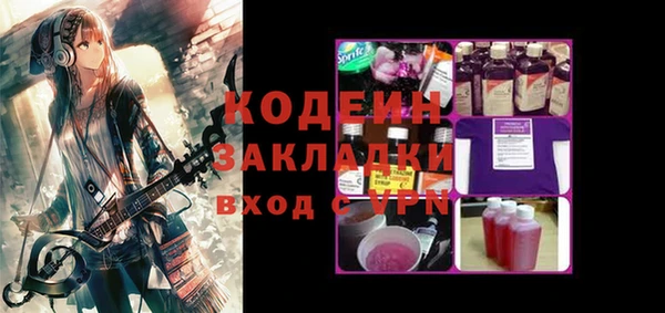 мдпв Гусь-Хрустальный