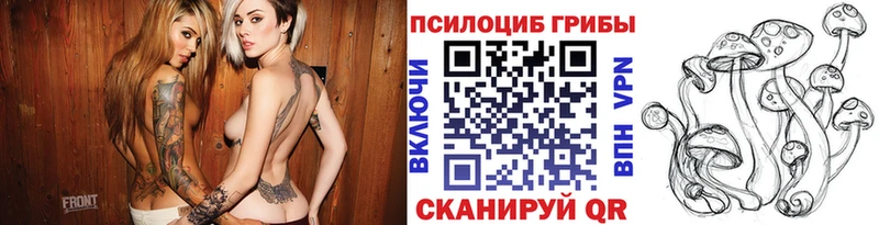 как найти наркотики  Калязин  Галлюциногенные грибы мицелий 